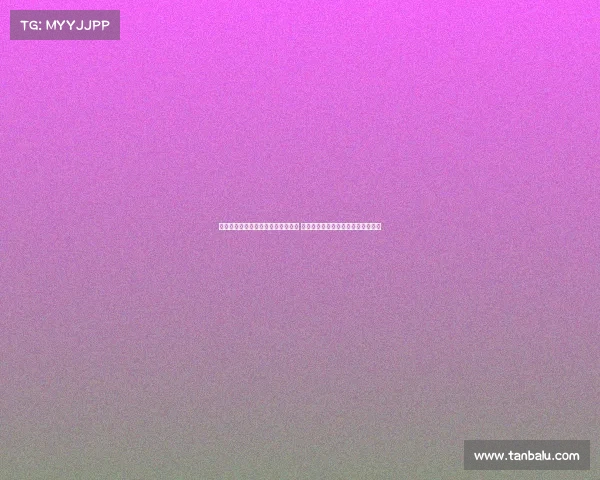 美因茨体育总监回应伯卡特转会传闻 强调协议尚未达成记者报道未必准确