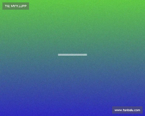 菲利波泰拉恰诺租借加盟克雷莫内塞并附强制买断条款