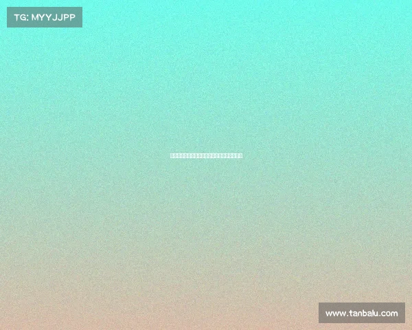 布伦瑞克队重回德甲巅峰之路：挑战与机遇并存