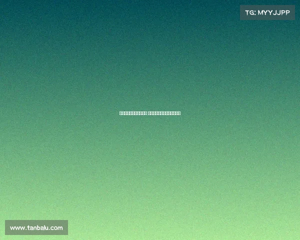 德甲赛事时间安排全解析 赛季关键时刻及精彩对决一览