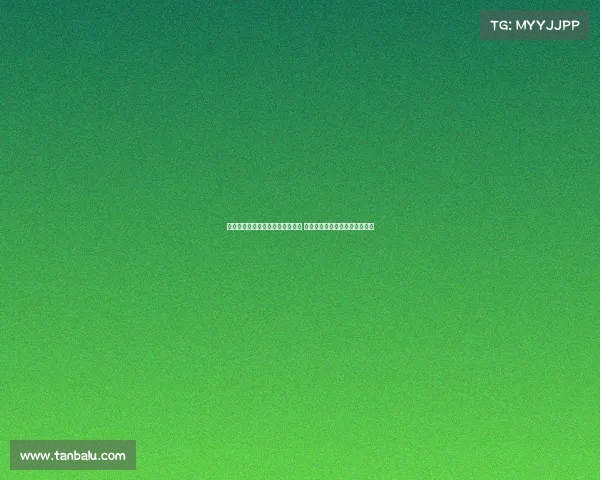 李月汝谈从欧洲到美国的篮球之路 西雅图风暴队氛围独特助力成长 李月汝谈从欧洲到美国的篮球之路 西雅图风暴队氛围独特助力成长