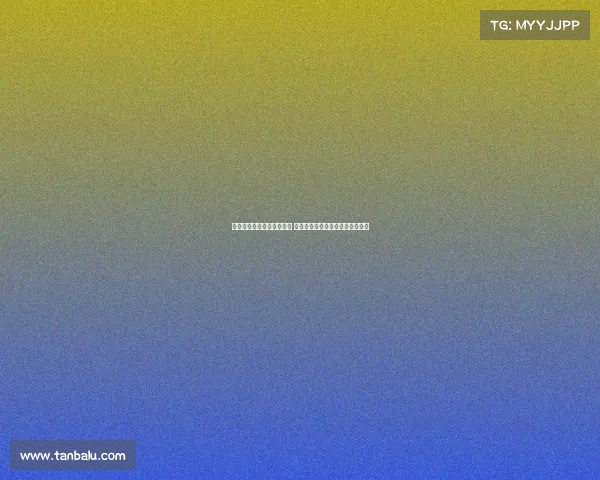 谢什科超越哈兰德潜力无限 专家预测他将成为新一代足球天王