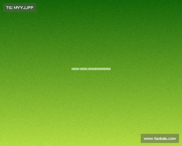 绍尔送助攻 图多列绝杀 武汉三镇力克上海申花迎关键胜利